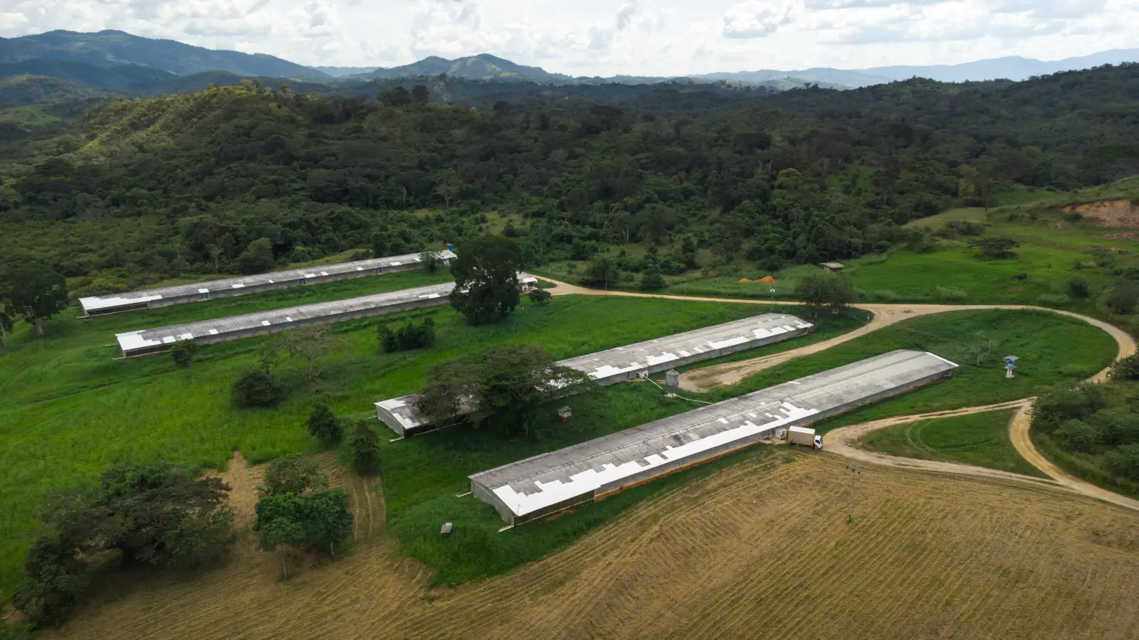 Que Pollo - Don Michelle-198