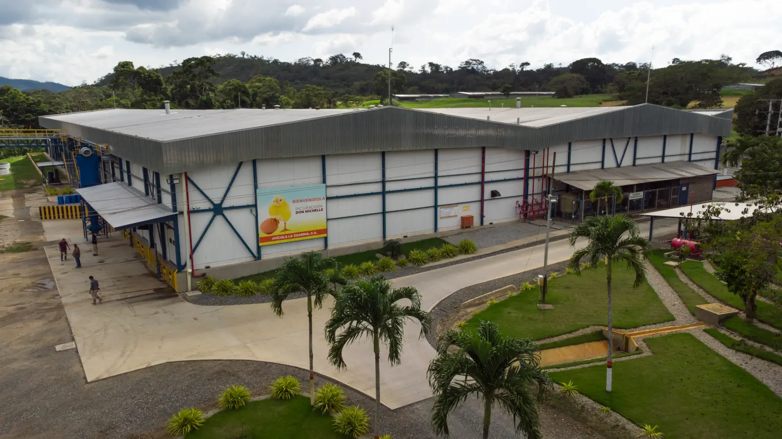 Que Pollo - Don Michelle-203