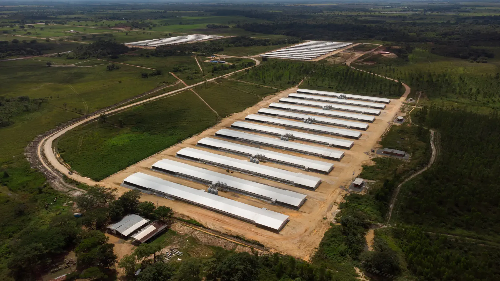 Que Pollo - Doña Lina 4