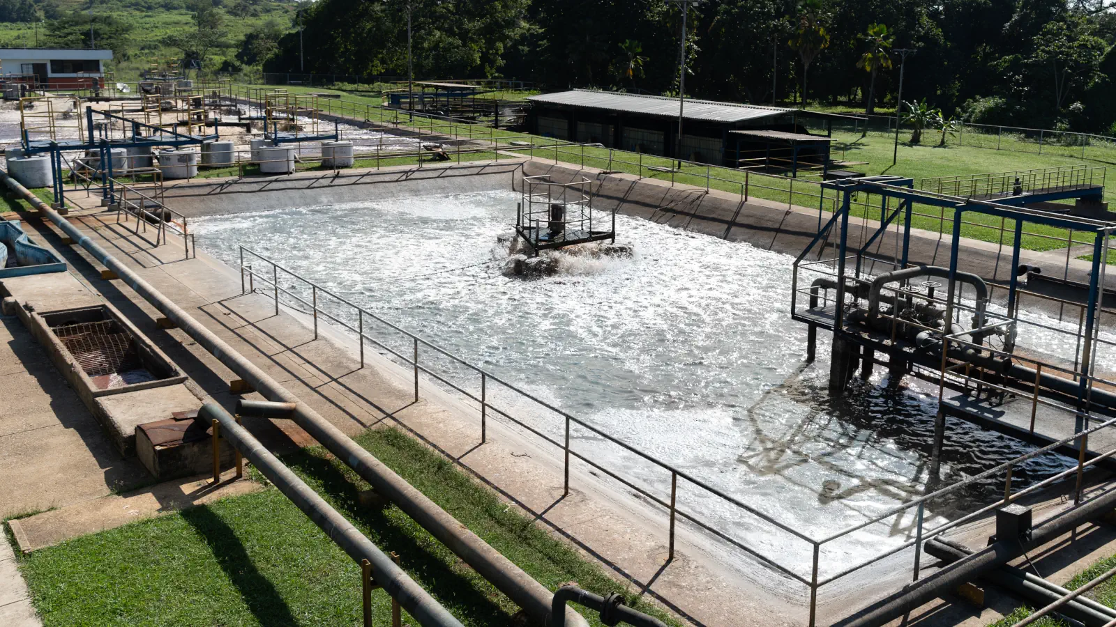 Que Pollo - La Guasima